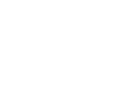 BLAZE MASTER