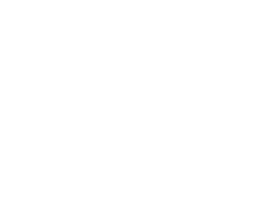 SIMEX